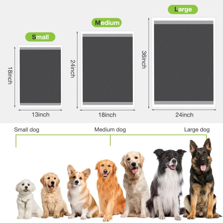 Jollywoods puppy training sessions demonstrate convenient disposable pads for puppies and seniors