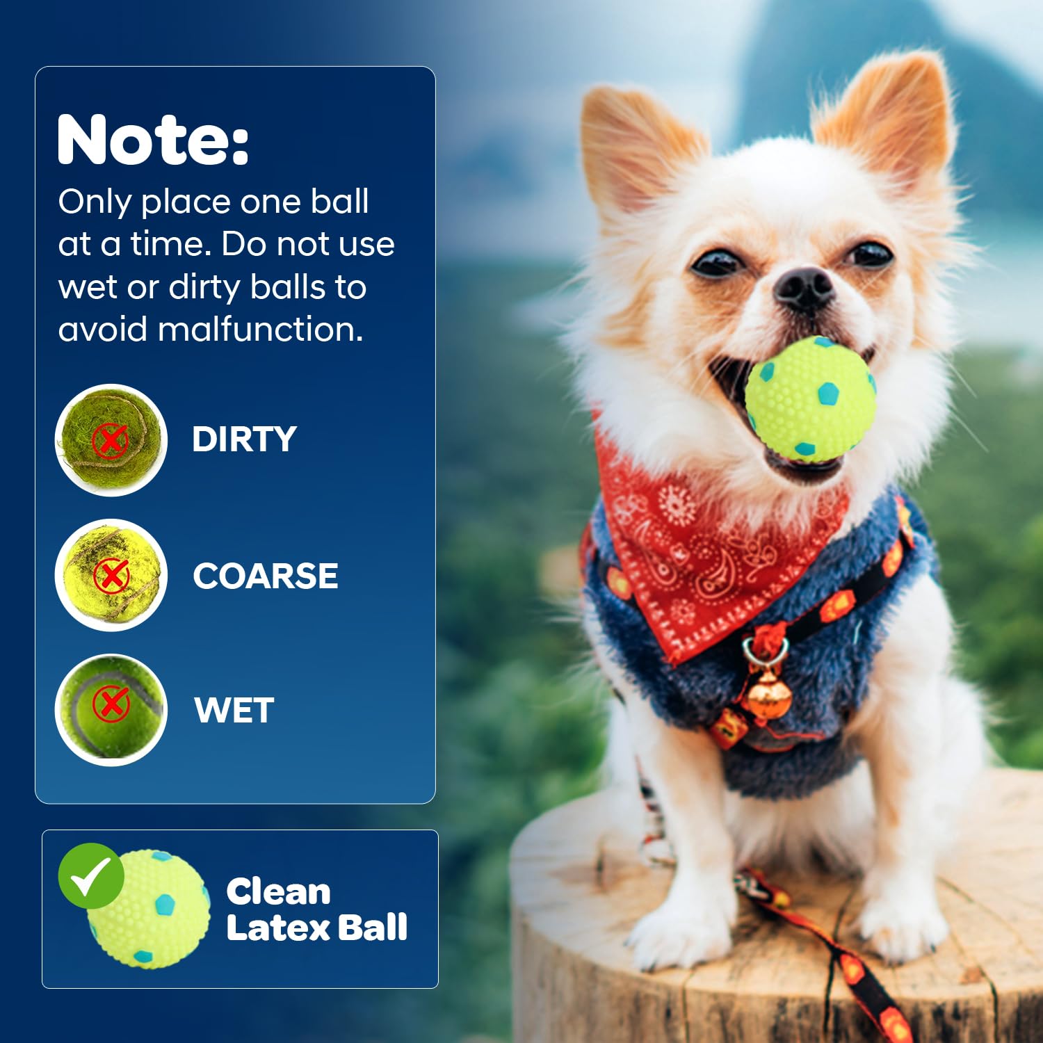 JolyBay six washable latex balls ready for gentle, high-bounce fetch