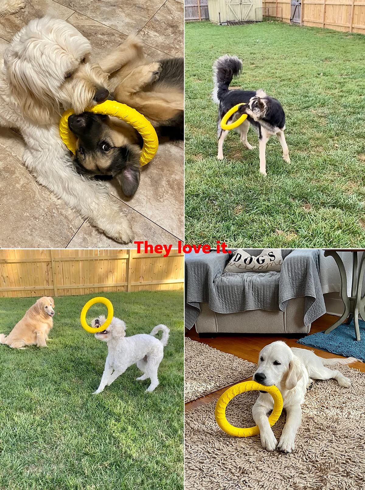 JONGLYEE ring toy great for catching and water play