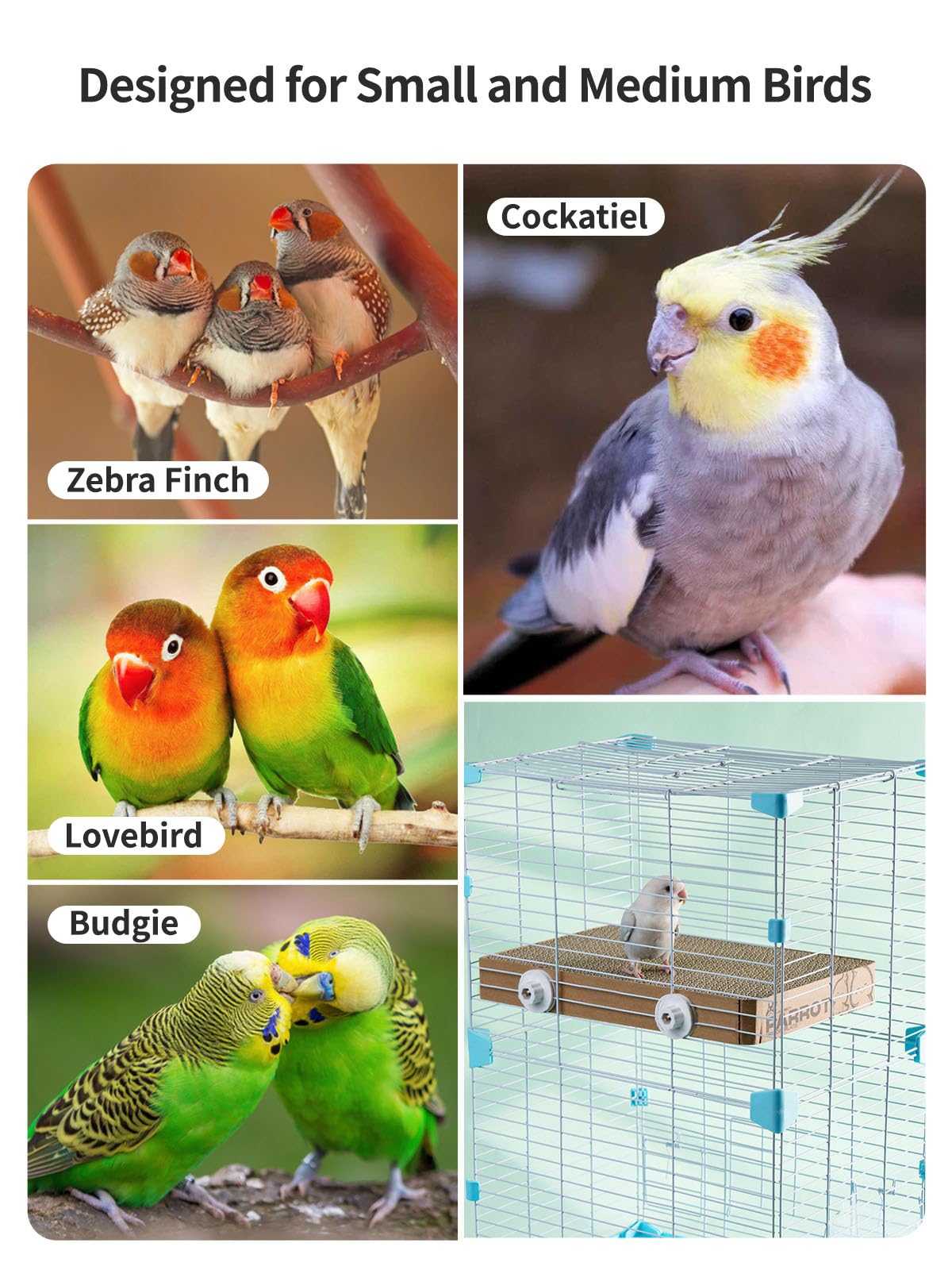 JONS NTY gift-ready bird toy shows care for pet bird lovers.