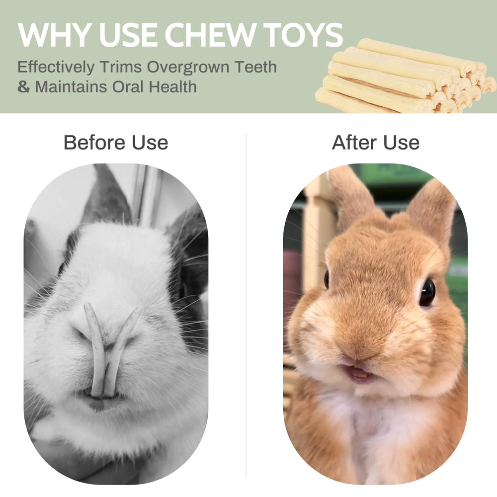 JONSNTY interactive play toy encourages curiosity and bonding with owners.