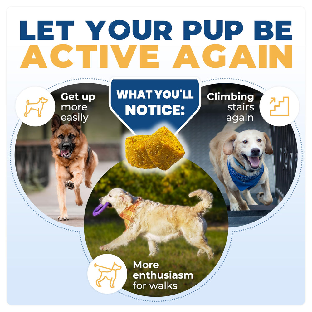 Jope Hip & Joint chews in bowl illustrates daily use for mobility.