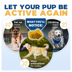 Jope Hip & Joint chews in bowl illustrates daily use for mobility.