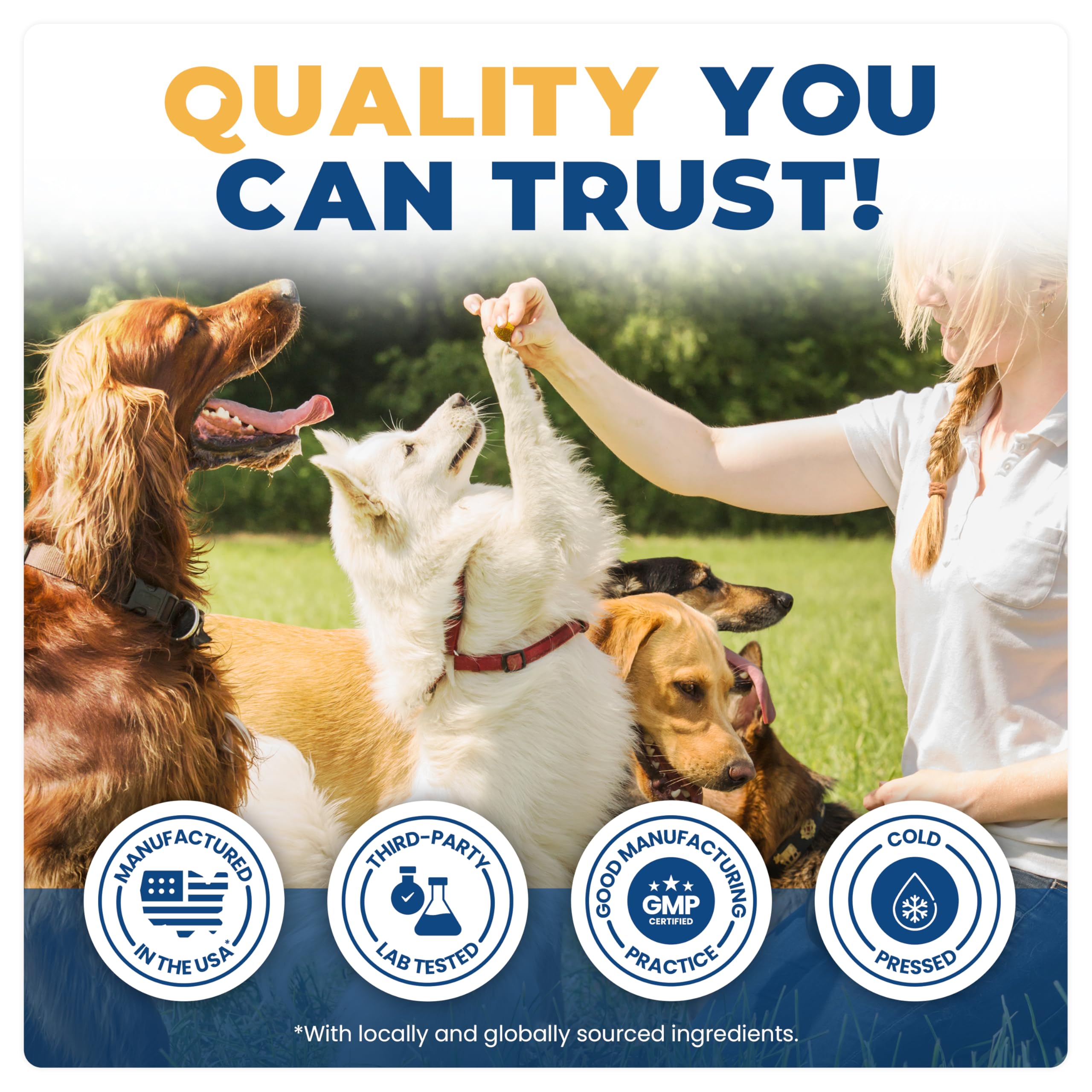 Jope Hip & Joint chews for aging dogs supports comfort and activity.