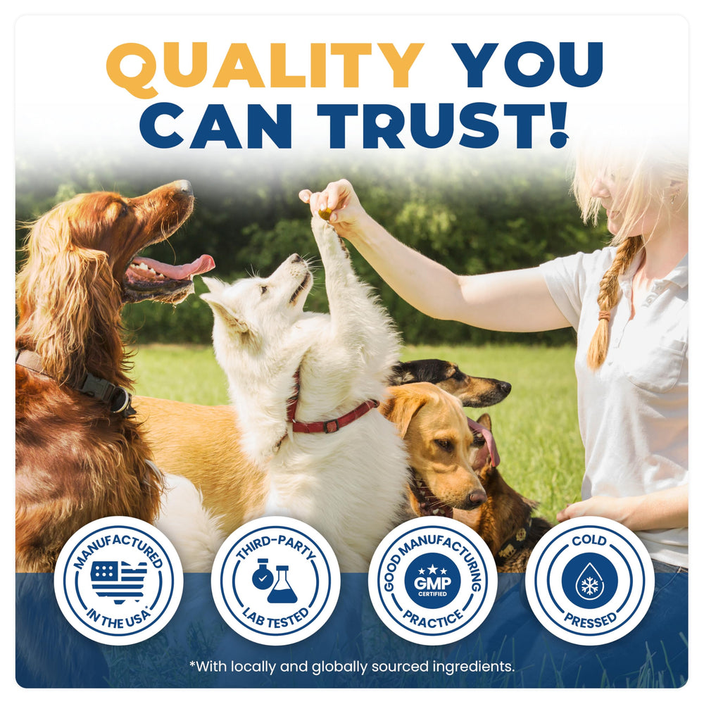 Jope Hip & Joint chews for aging dogs supports comfort and activity.
