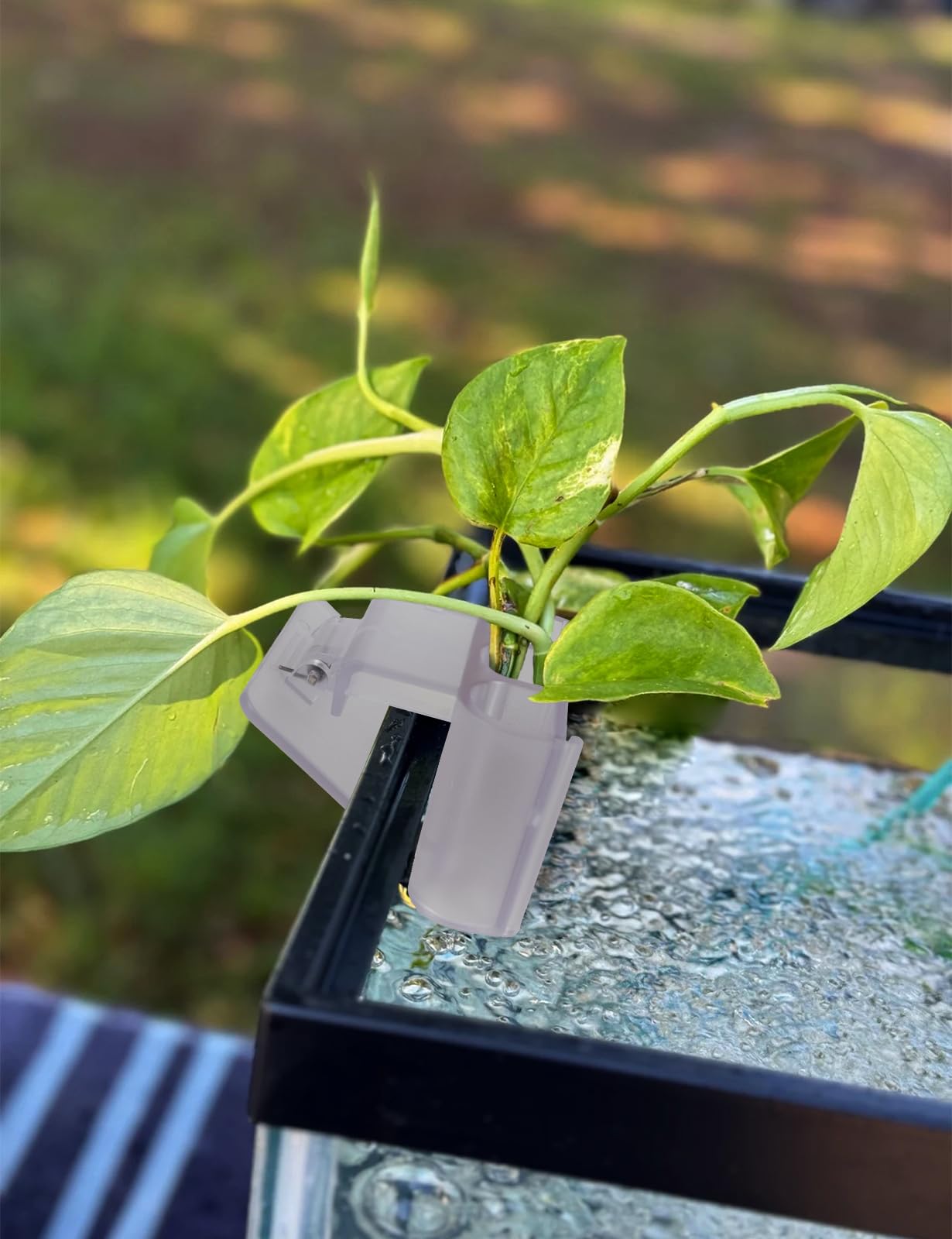 joqepy aquarium-decoration plant holder adds vibrant green to tanks