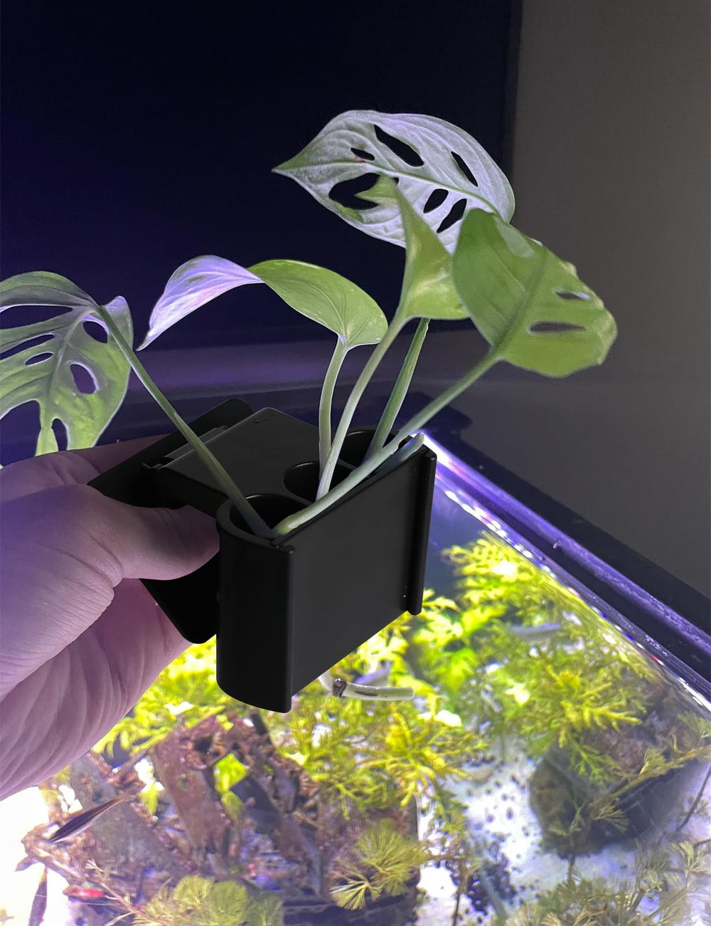 joqepy aquarium plant holder decoration setup suitable for home, garden, or balcony