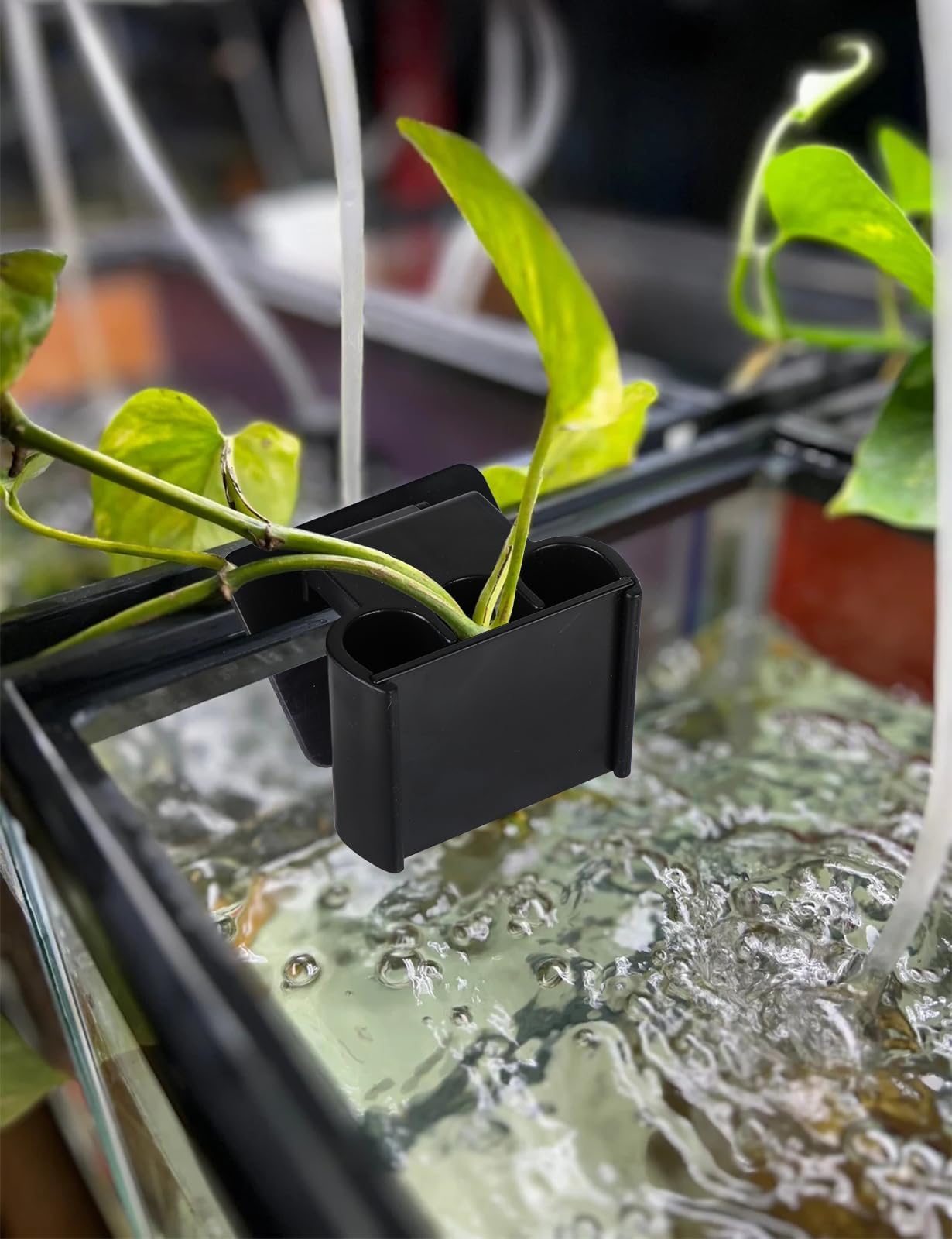 joqepy aquarium plant holder gift-pack ideal for fish lovers