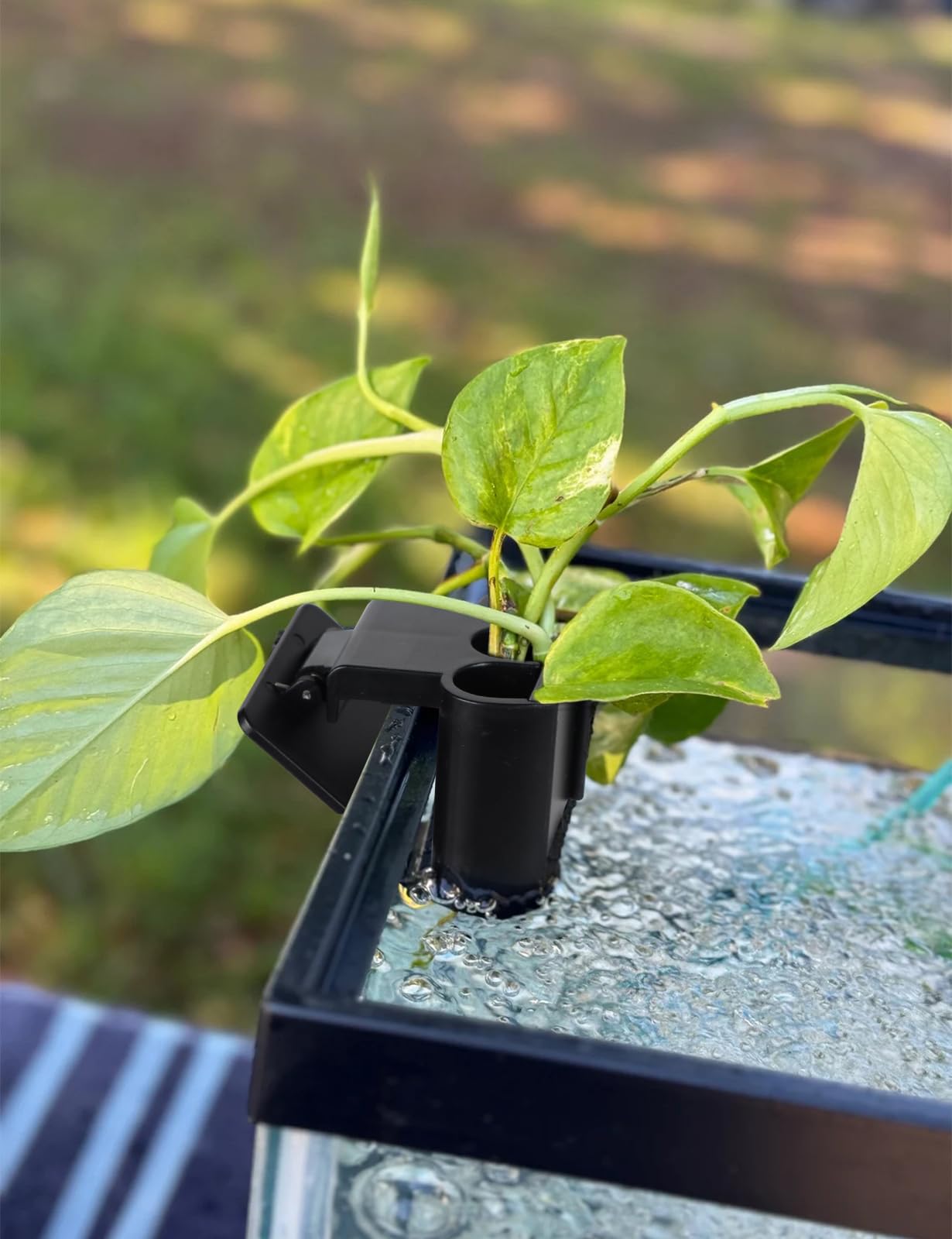 joqepy aquarium plant holder in use enhances tank aesthetics and plant care