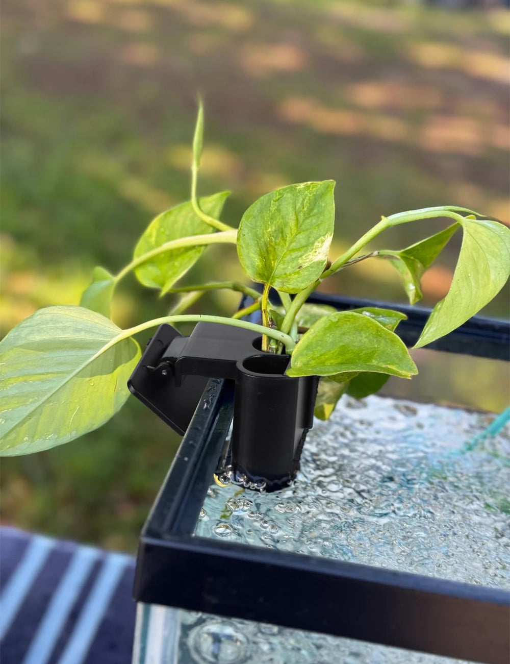 joqepy aquarium plant holder in use enhances tank aesthetics and plant care