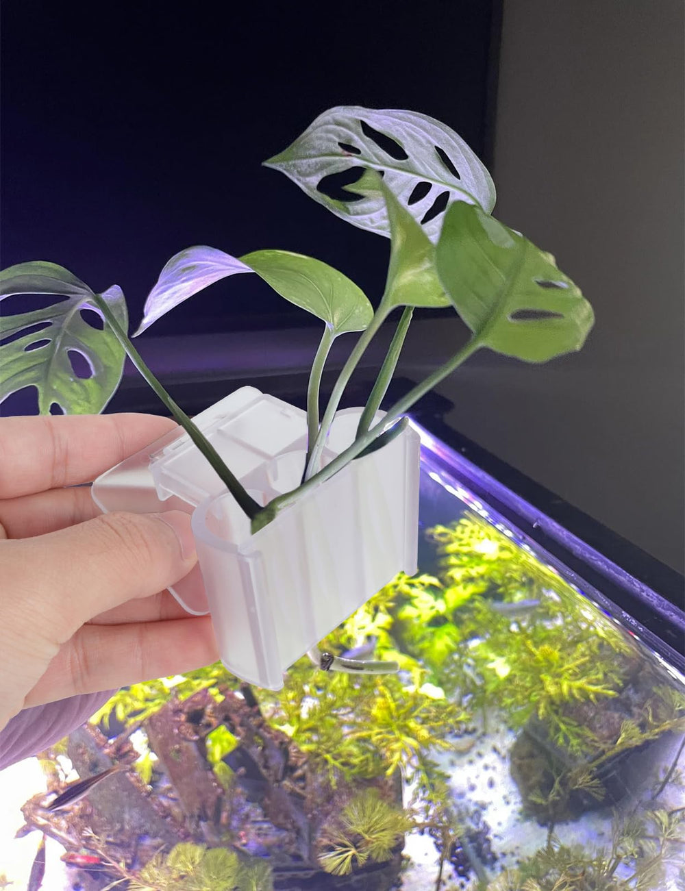 joqepy secure clip-on mount keeps plants steady during maintenance