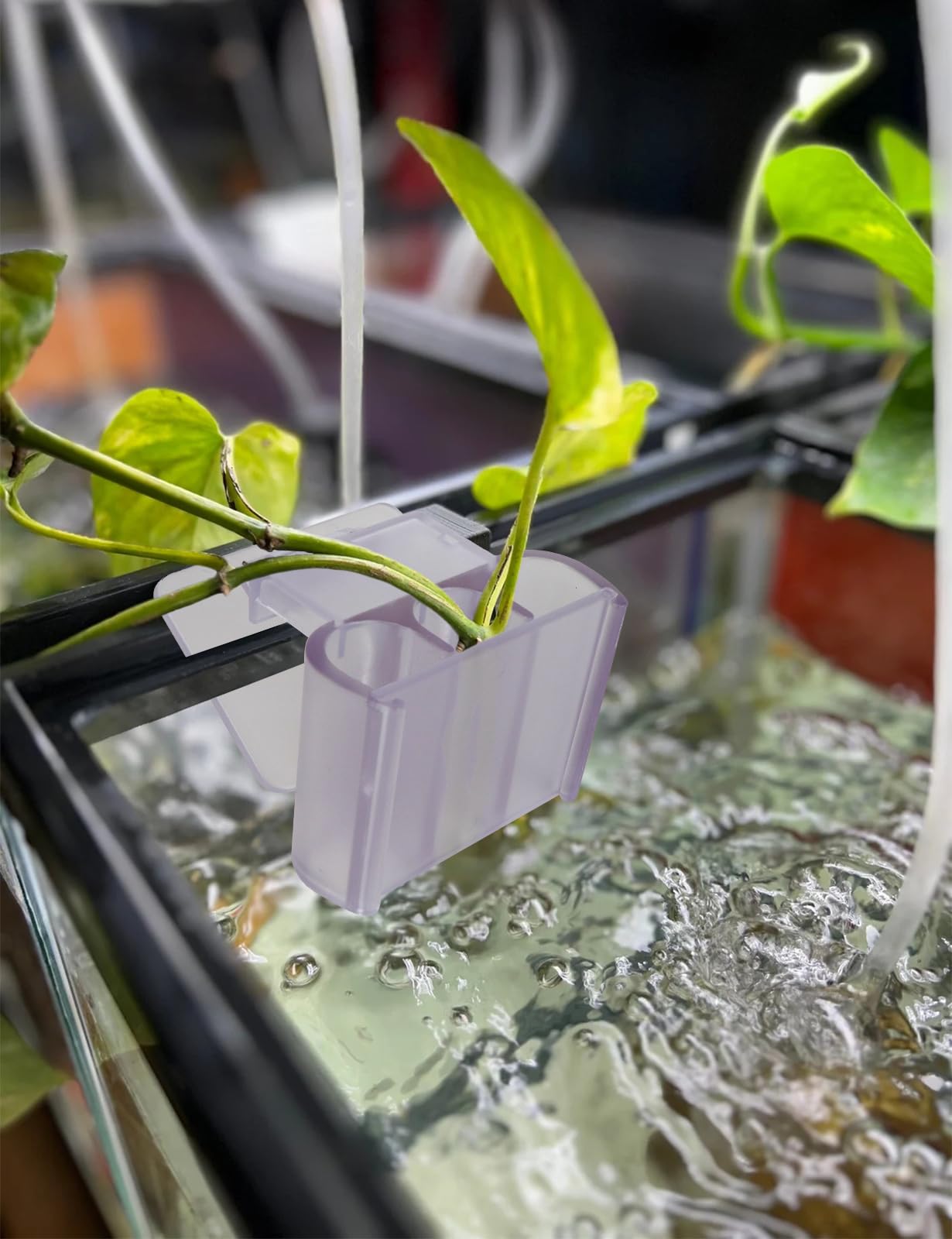 joqepy two-pack aquarium plant holder provides versatile placement options