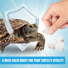 JOR Calcium Rocks in a 14-gallon tank setup, easy placement among tank décor.
