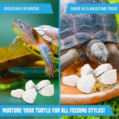 JOR Calcium Rocks pack contains 3-6 pieces, each about 0.5 inch.