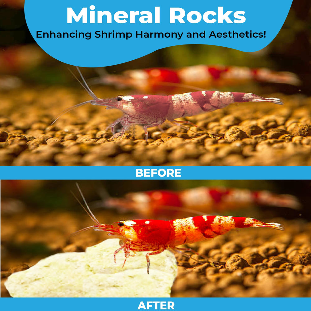 JOR Calcium Rocks aquarium-decor — adds visual contrast and natural texture to aquascapes