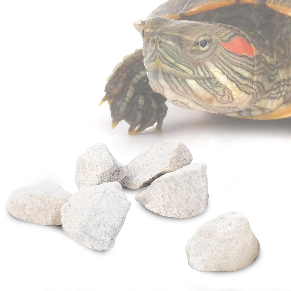 JOR Calcium Rocks in aquarium décor scene aiding shrimp and crayfish shell integrity.