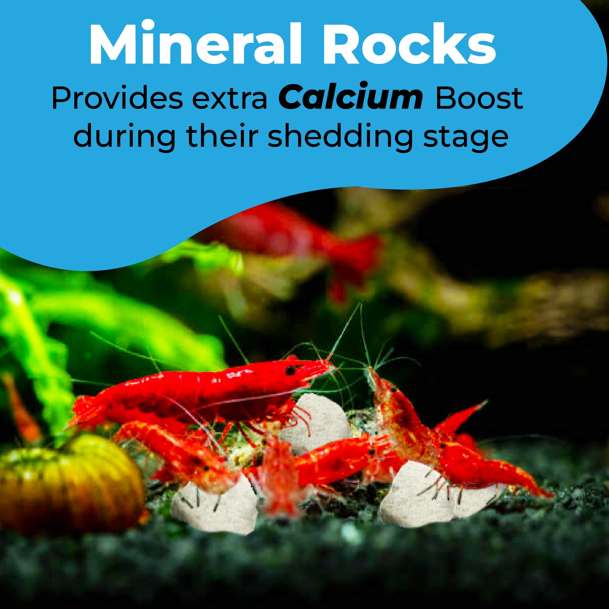 JOR Calcium Rocks shrimp-breeding-spot — provides microhabitats that support breeding activity