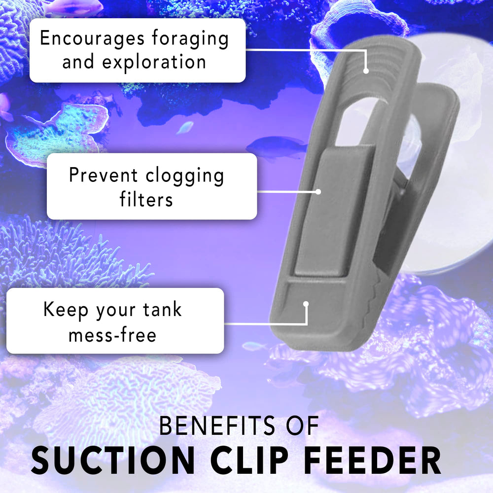 JOR Catappa leaf clip close-up secures leaves for water enrichment