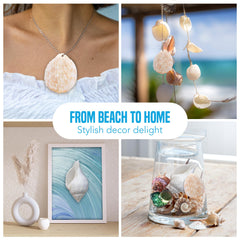 JOR Hermit Crab Shells durable shells withstand daily activity for lasting homes