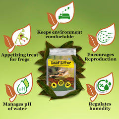 JOR Mahogany Leaves humidity effect demonstrating moisture retention in soil