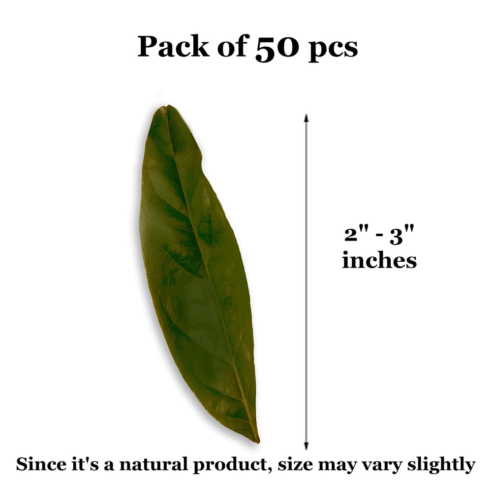 JOR Mahogany Leaves preventing mud buildup by creating a thick leaf layer