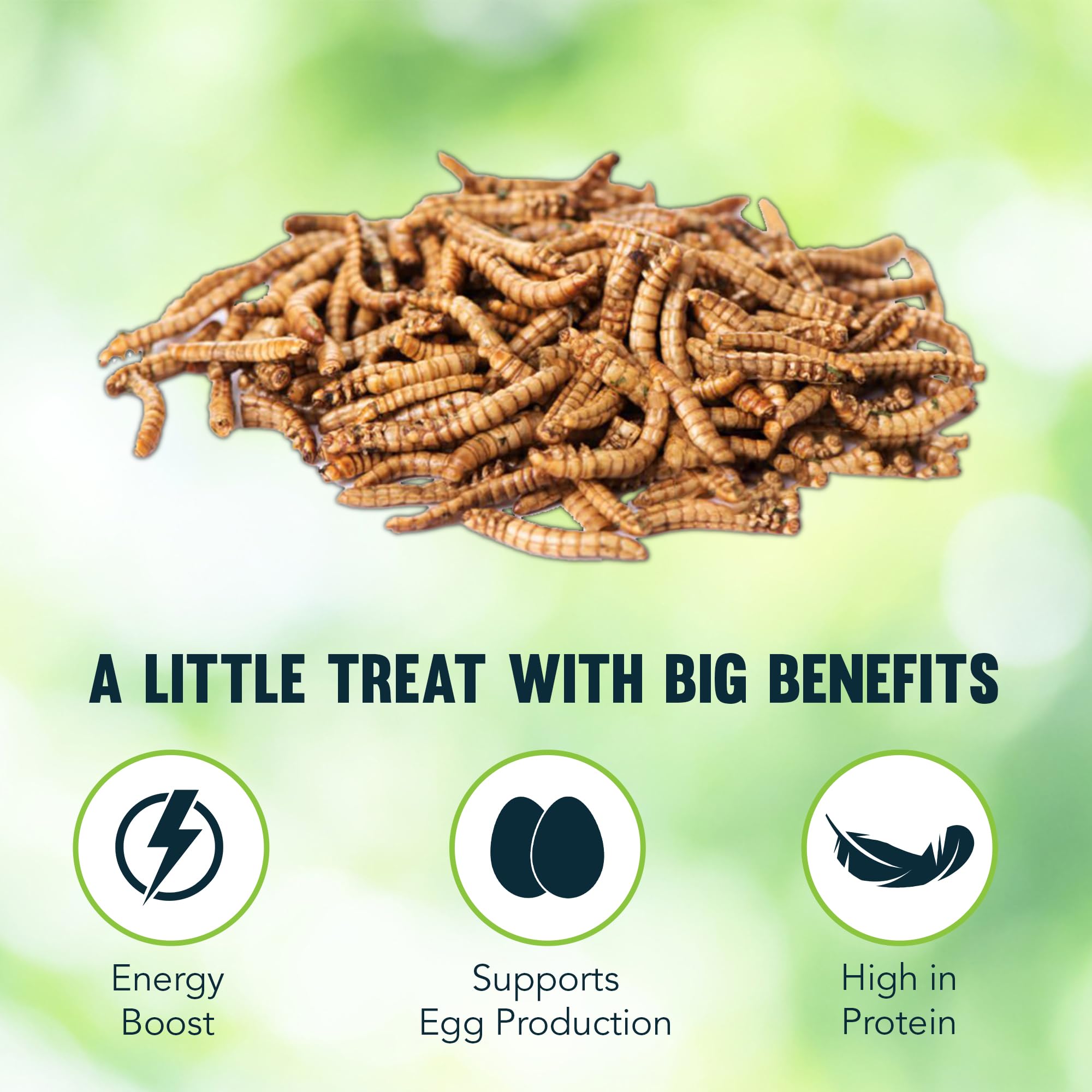 JOR mealworms feeding bluebirds and wrens illustrate wildlife-friendly protein in the yard.