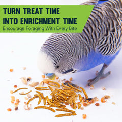 JOR mealworms for squirrels highlight natural foraging with a protein-rich snack.