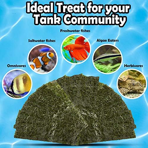 JOR seaweed sheets slow-dissolve extends feeding time for active fish.