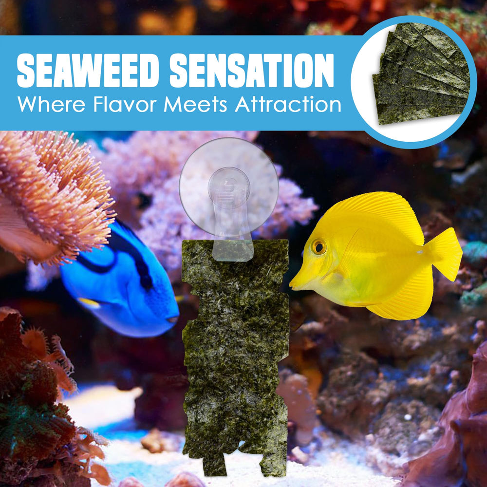 JOR seaweed sheets variety diet supports balanced nutrition in mixed-species aquariums.