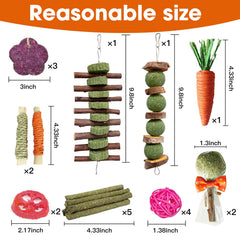 Jorewood Loofah Toy Set natural fibers for gnawing and curiosity