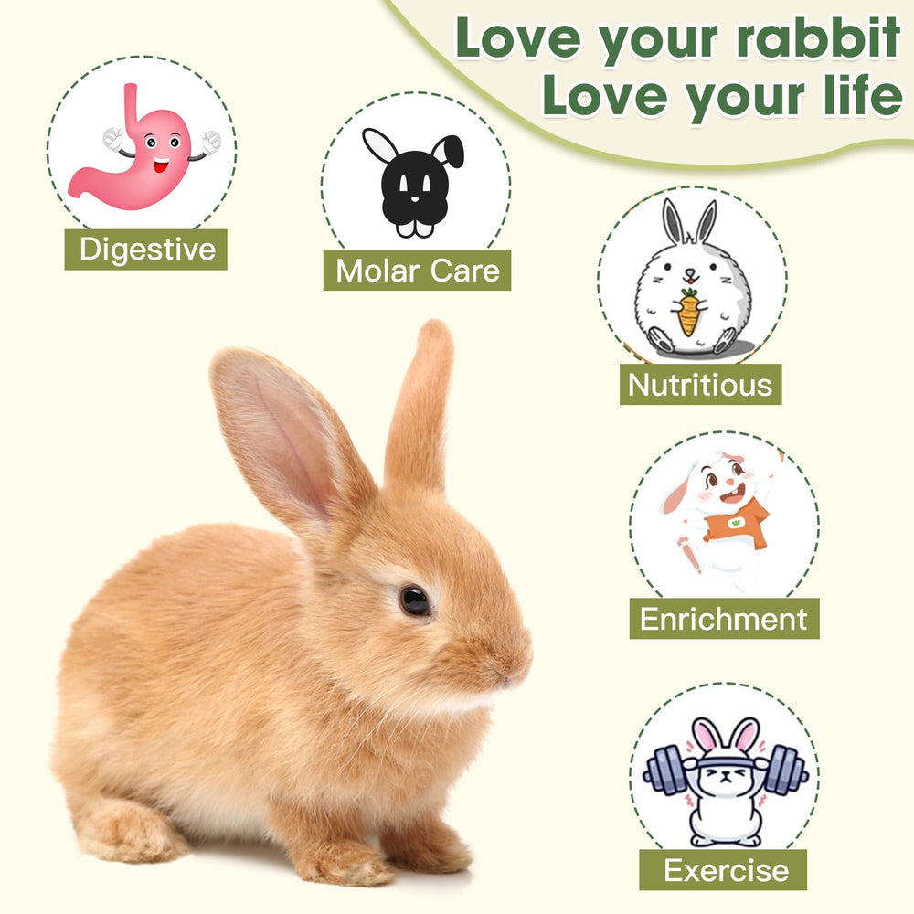 Jorewood Alfalfa hay sticks featuring fibrous texture for extended play and nibbling