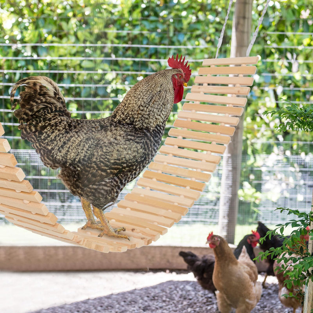 Jorewood Chicken Coop Toy 47-inch length supports 3-4 hens simultaneously