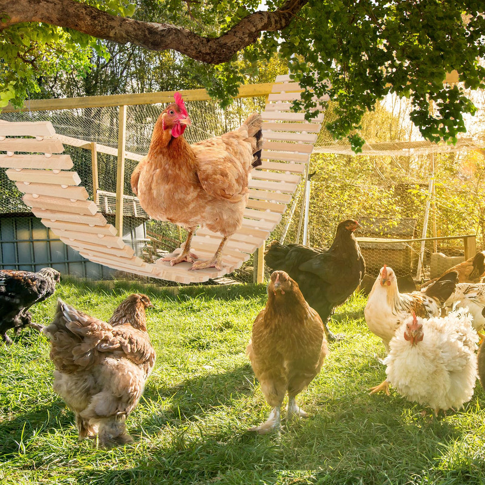 Jorewood Chicken Coop Toy All-Weather Finish withstands outdoor use
