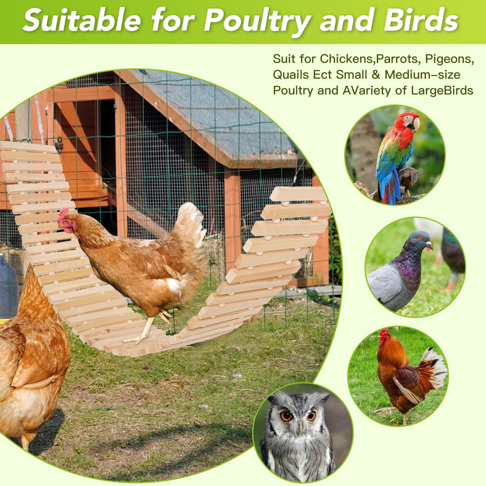 Jorewood Chicken Coop Toy In-Use shows flock sharing the perch