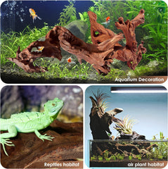 Jorewood driftwood aquarium terrarium setup shown in dual habitat