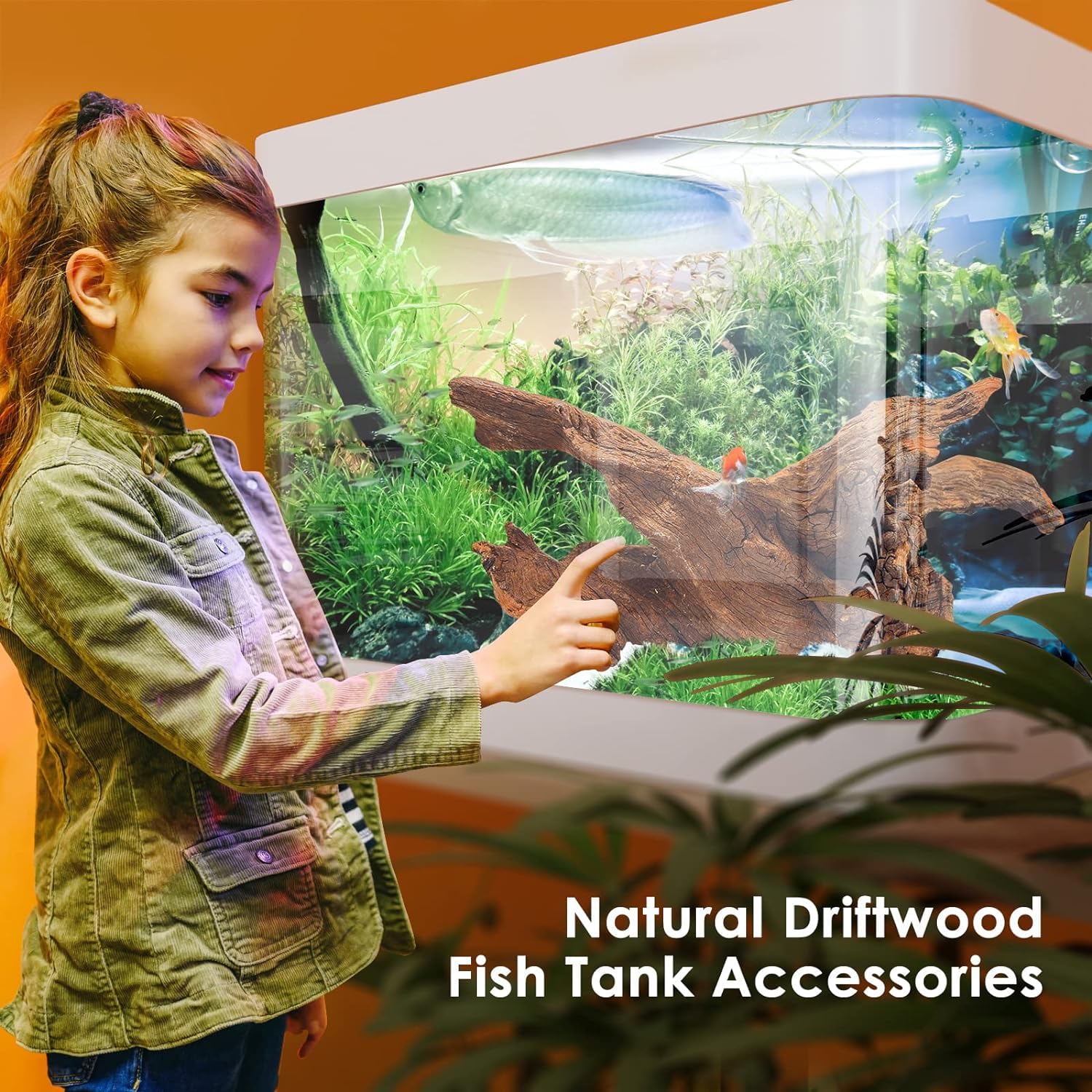 Jorewood driftwood low-tannin release helps keep water clearer for fish and amphibians