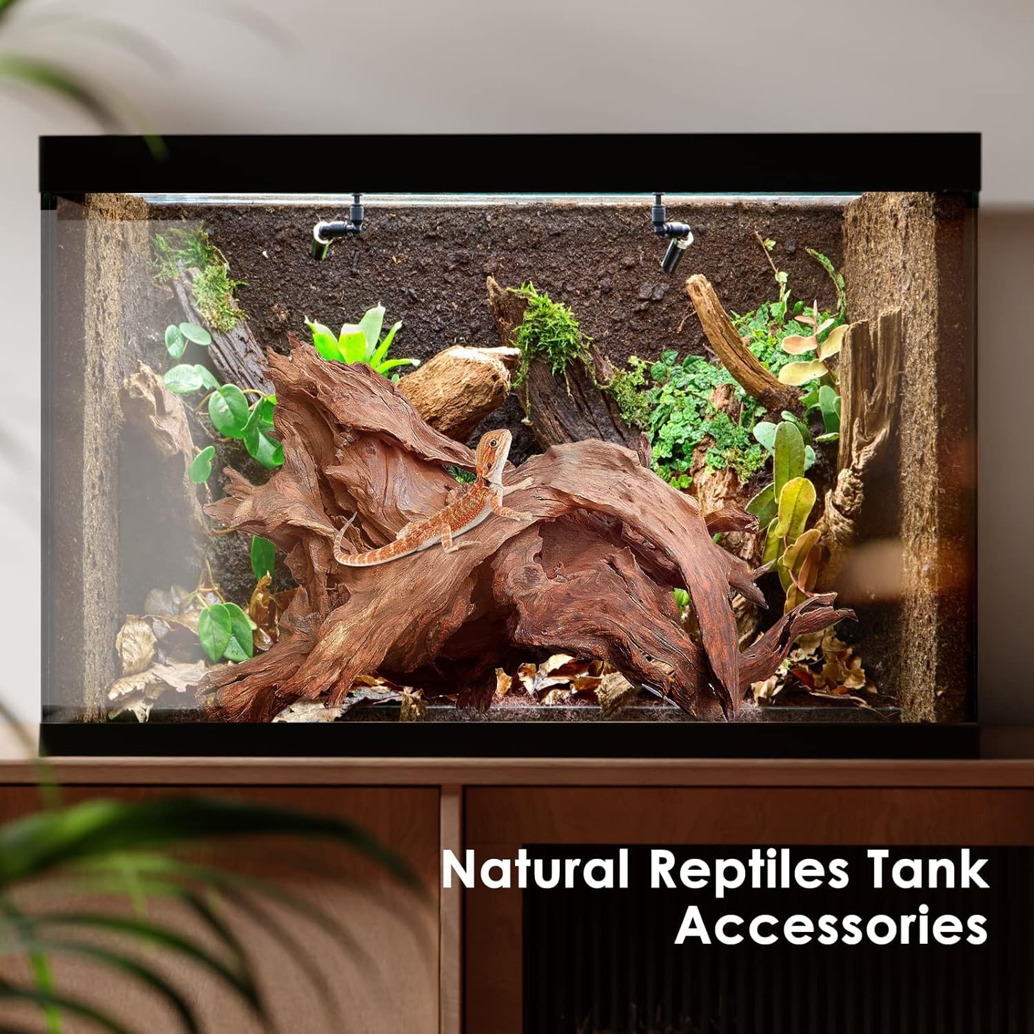 Jorewood driftwood natural-texture enhances terrarium landscapes with caves, bridges, hiding places