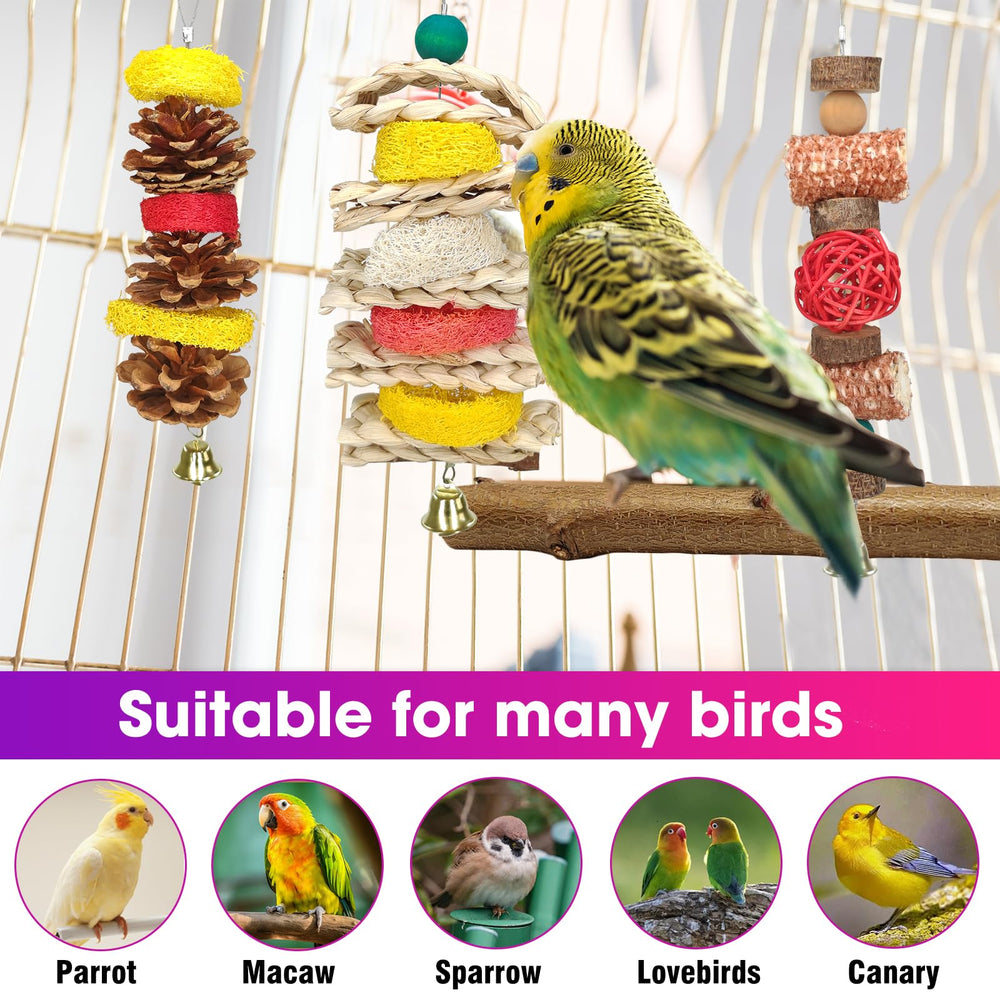 JOREWOOD enrichment toys satisfy instinct to chew, groom, and explore