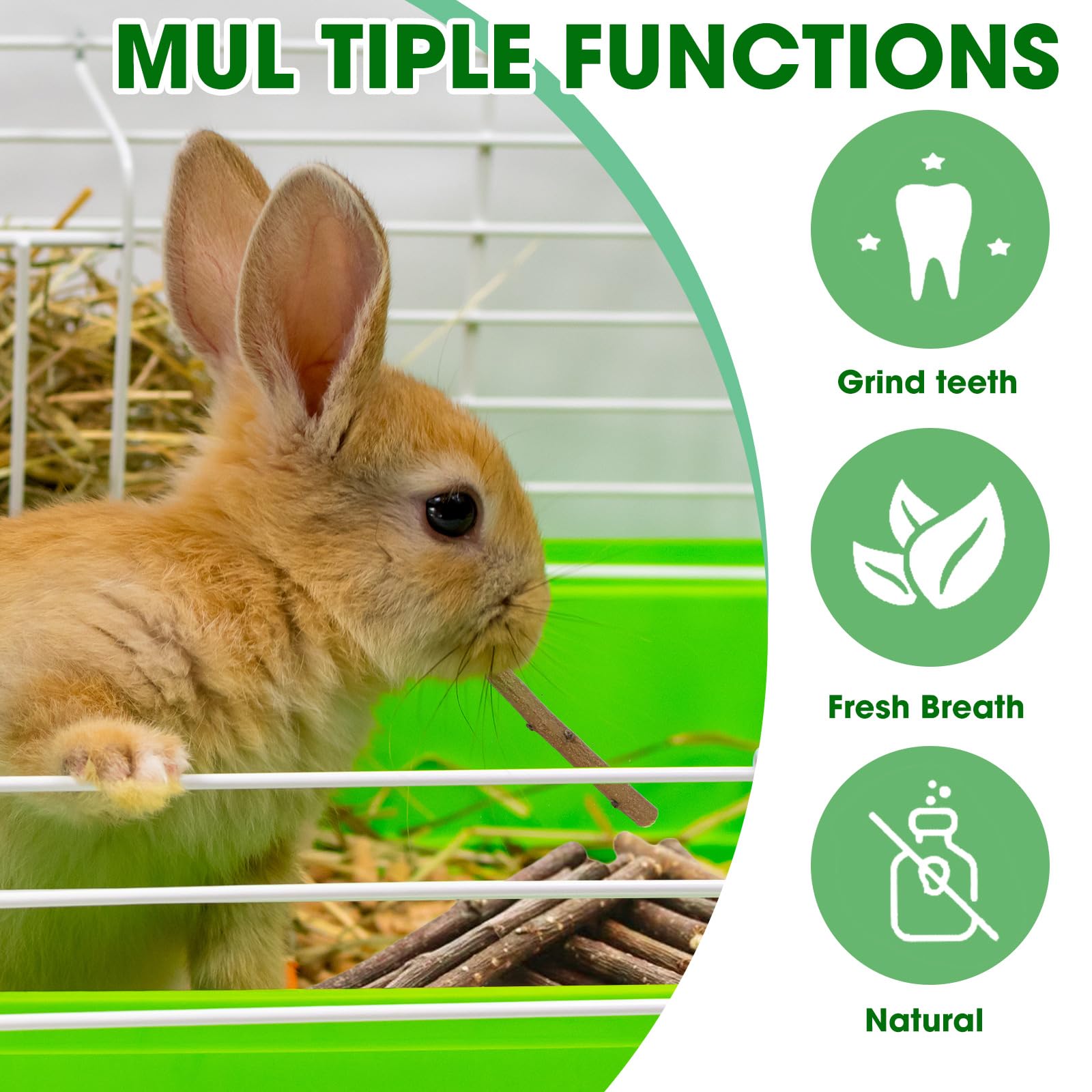 Jorewood peach wood chew sticks chinchillas-dental highlights high-density wood for sustained chewing.