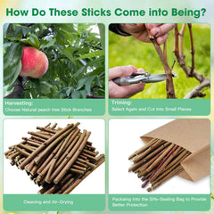 Jorewood peach wood chew sticks rabbits-scene demonstrates safe, untreated wood for chewing.