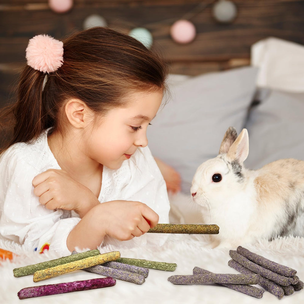 Jorewood small-animal chew in cage setup illustrating playful foraging