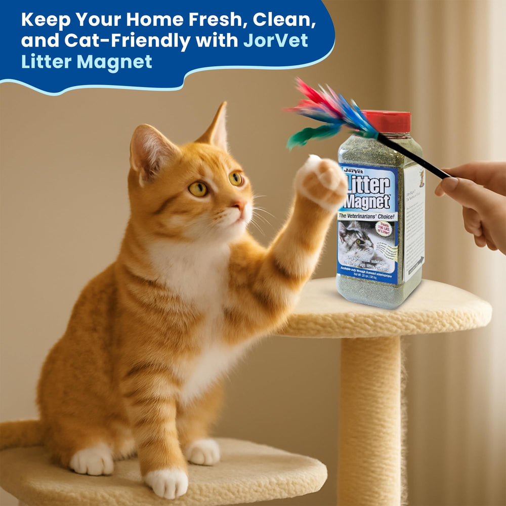 JorVet Litter Magnet covers up to 100 pounds of litter for multi-cat homes.