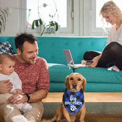 JOTFA big brother dog bandana worn blue plaid showcases pregnancy reveal moments.
