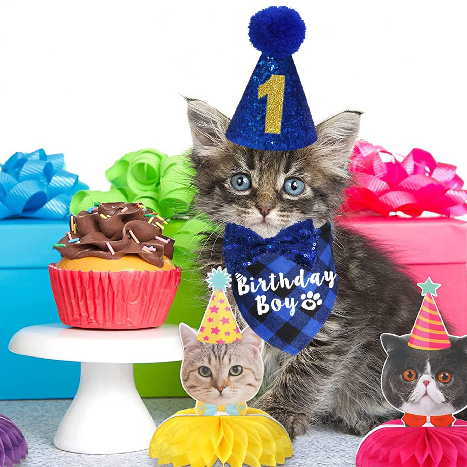 JOTFA cat birthday photo shot, captures adorable memories with coordinated accessories