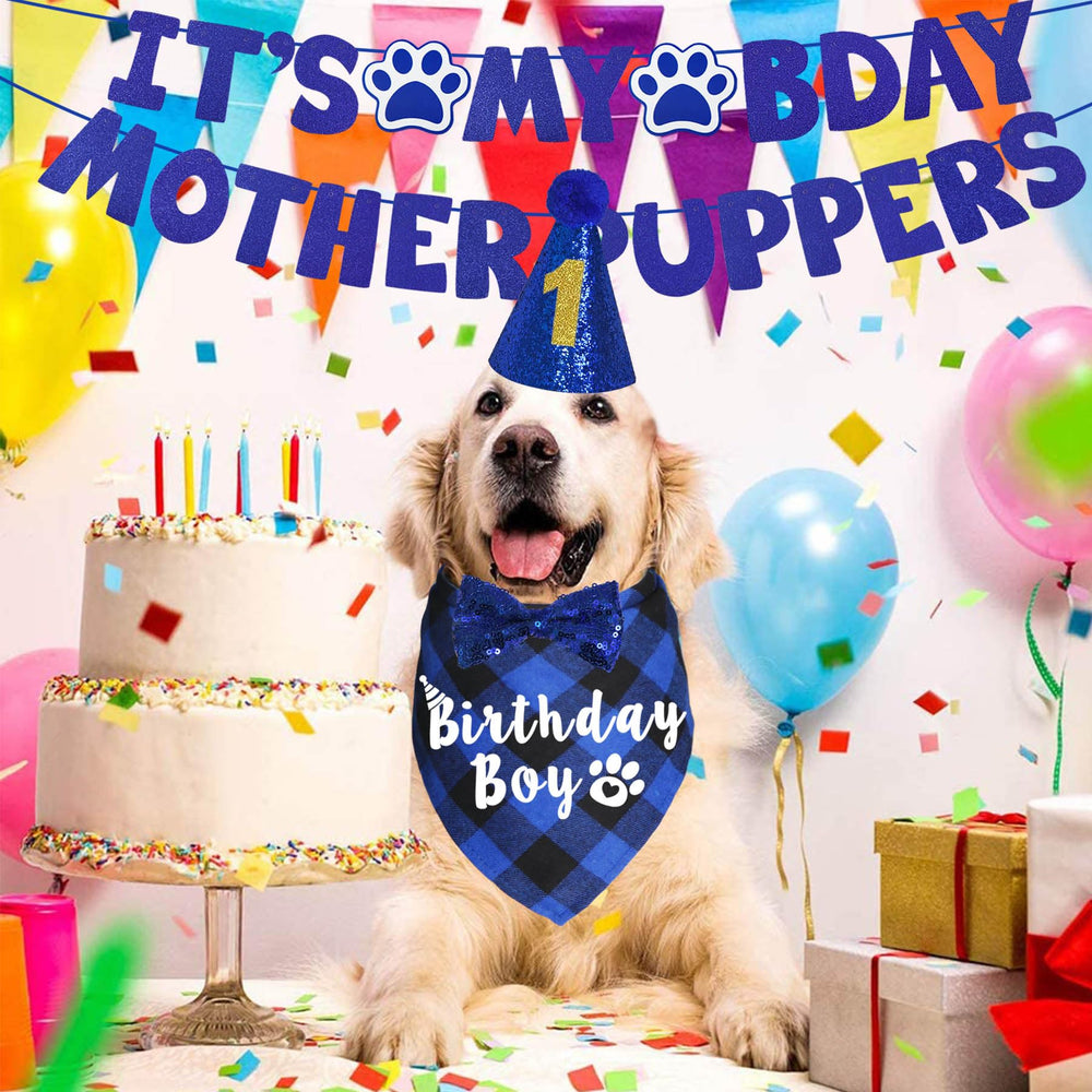 JOTFA dog birthday hat in blue adds festive flair to your pup.
