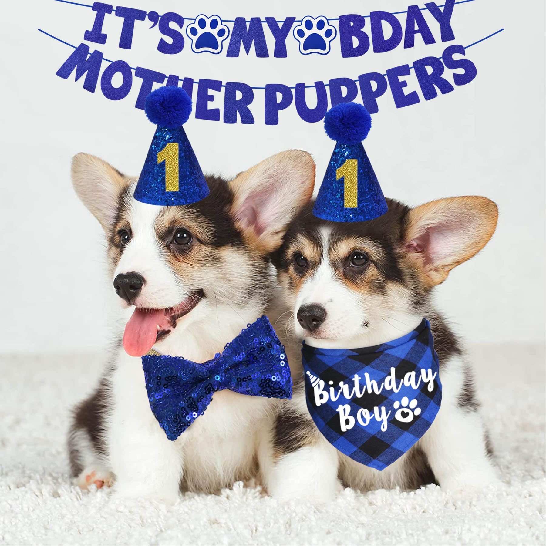 JOTFA dog birthday hat with numeric accents for party looks