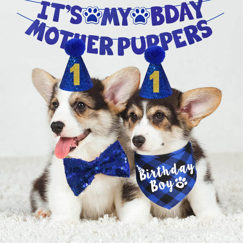 JOTFA dog birthday hat with numeric accents for party looks
