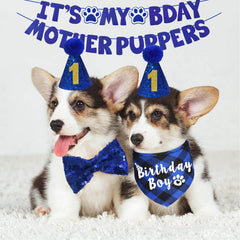 JOTFA dog birthday hat with numeric accents for party looks