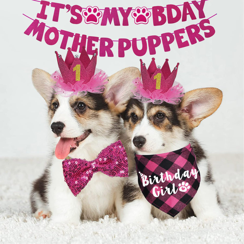 JOTFA dog birthday hat pink adds festive flair to celebrations