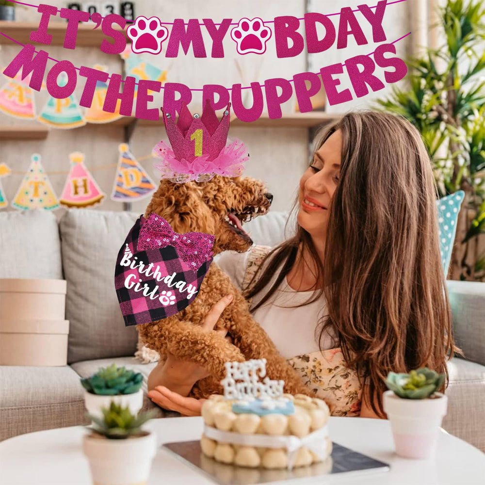 JOTFA dog birthday party set pink for coordinated styling